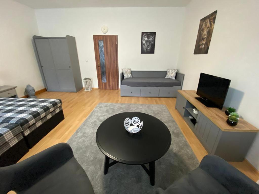 Cerny Tulipan - Apartman 1 Пльзень Экстерьер фото